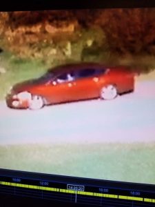 Police looking for information on River Road hit and run